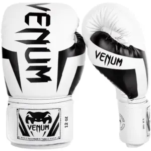 Best Boxing Gloves for beginners