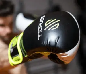these are a pair of the top boxing gloves for newbies