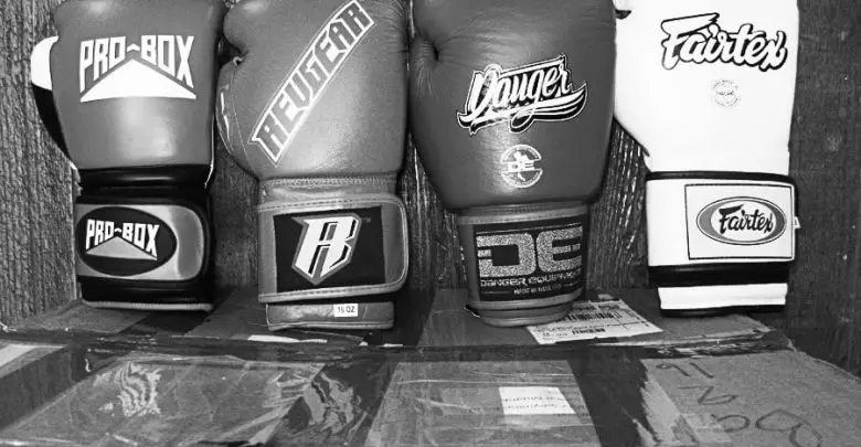 best affordable boxing gloves