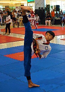 taekwondo vs karate - which is better for kids