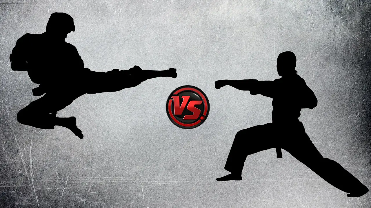 Taekwondo vs karate