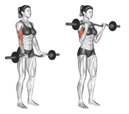 how to do cambered bar curls