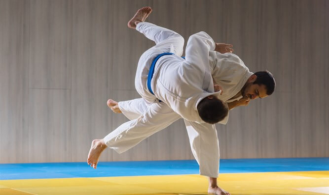 judo vs bjj