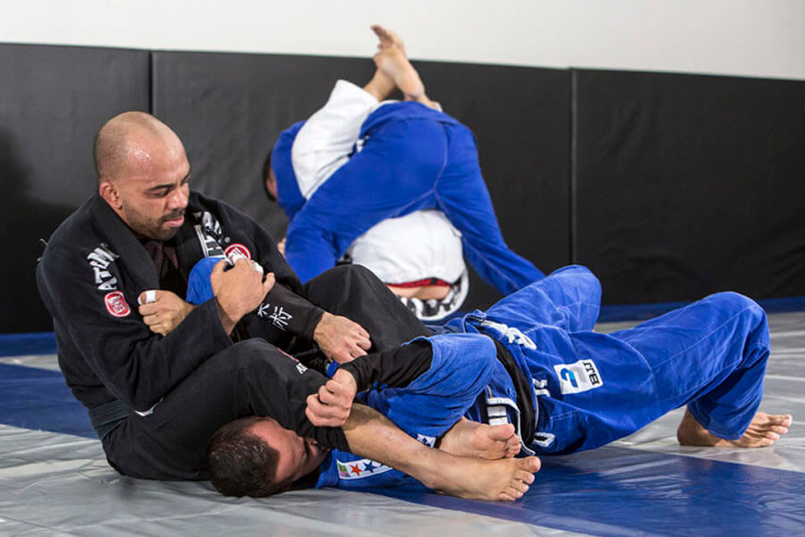 judo vs brazilian jiu jitsu