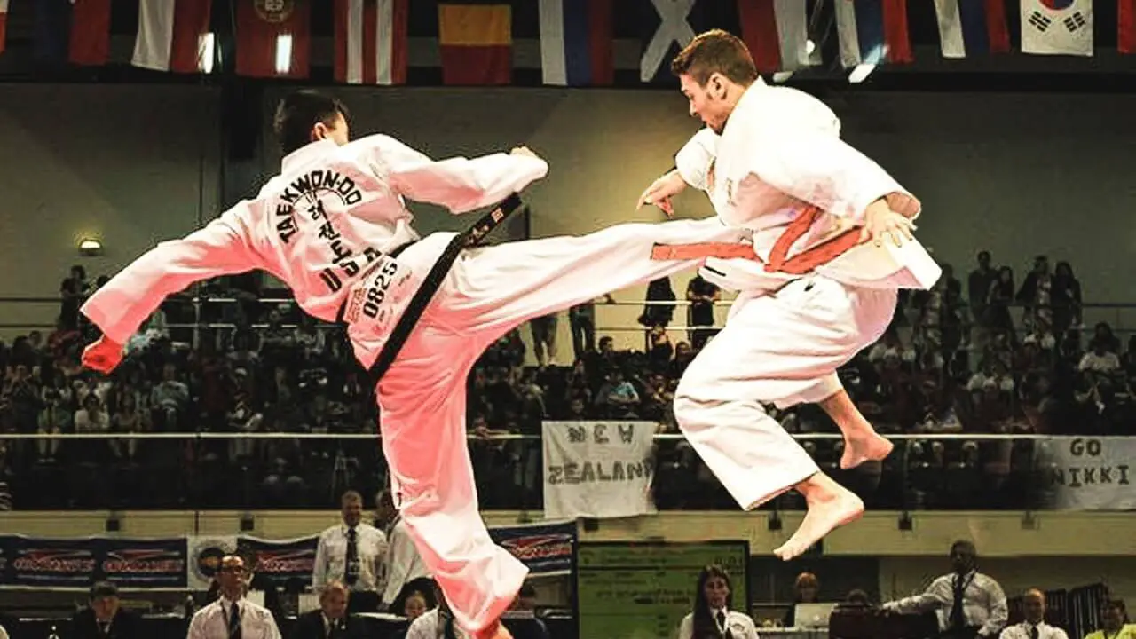Taekwondo vs Karate What are the Differences? Which is Best for Self Defense? SmartMMA