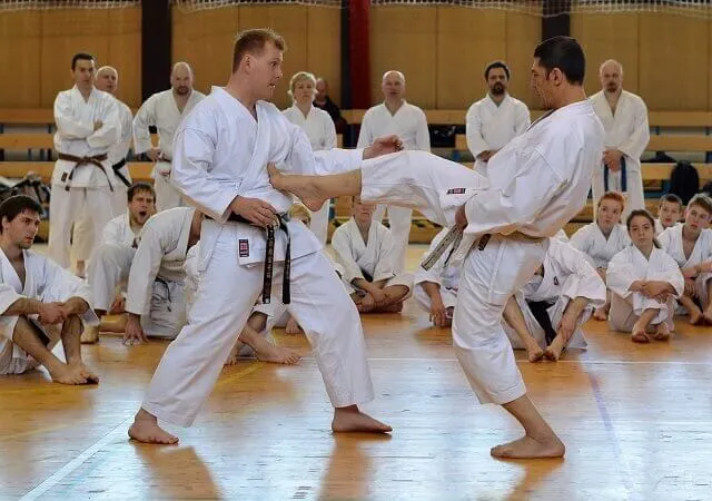 karate vs taekwondo - what are the differences?