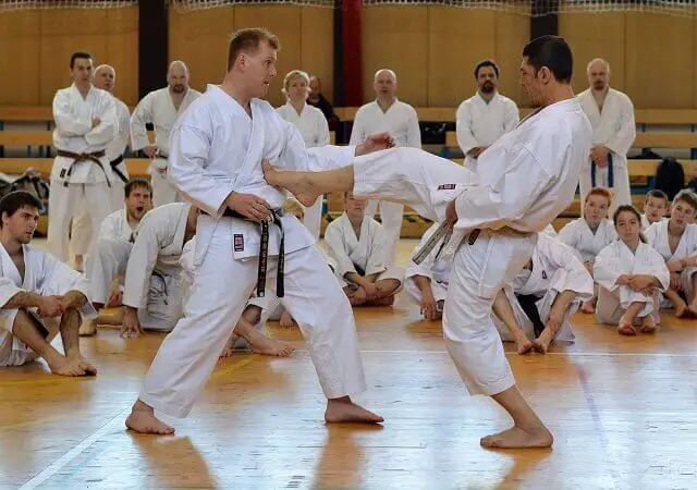 Taekwondo vs Karate - What are the Differences? Which is Best for Self