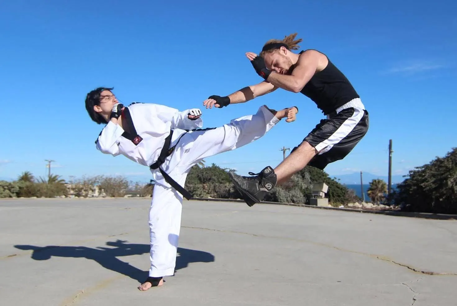 karate vs taekwondo street fight