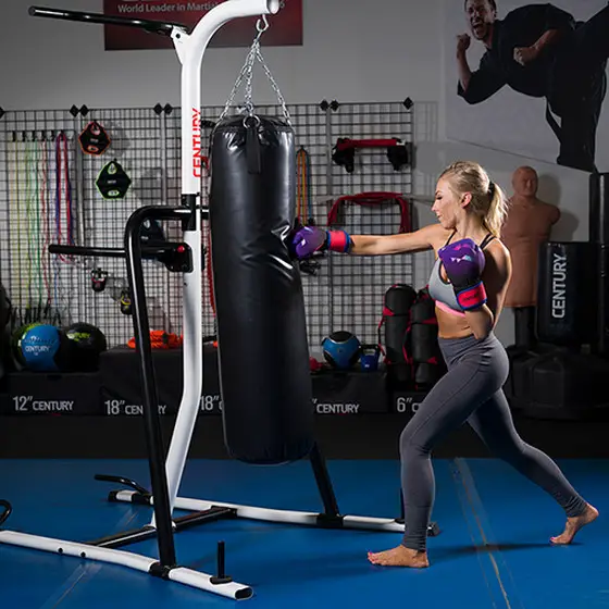boxing bag stand with pull up bar