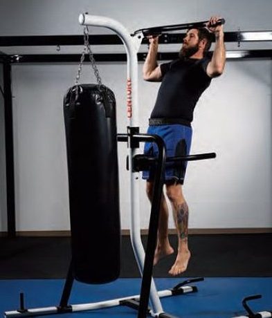 heavy bag stand with pull up bar