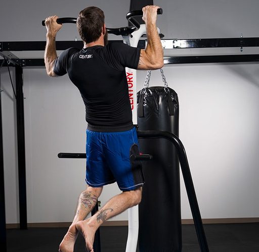 punching bag stand with pull up bar