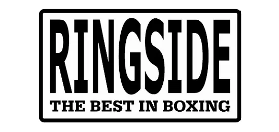 ringside popular outdoor punching bag brand
