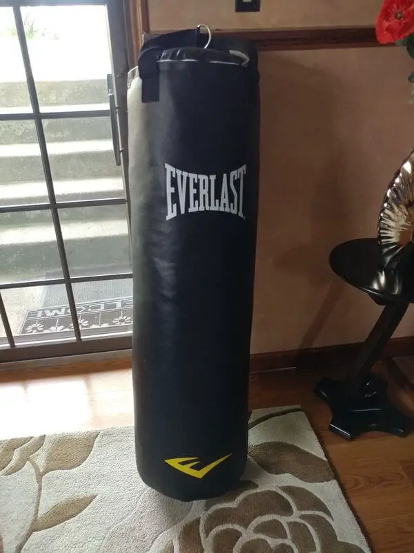 top rated punching bag teens