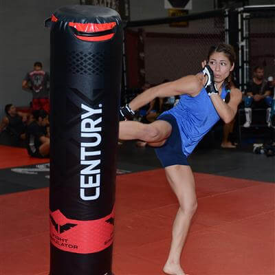 punching bag for teens