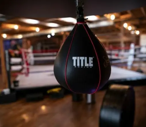 TITLE Gyro - Best Speed Bags for Home Use