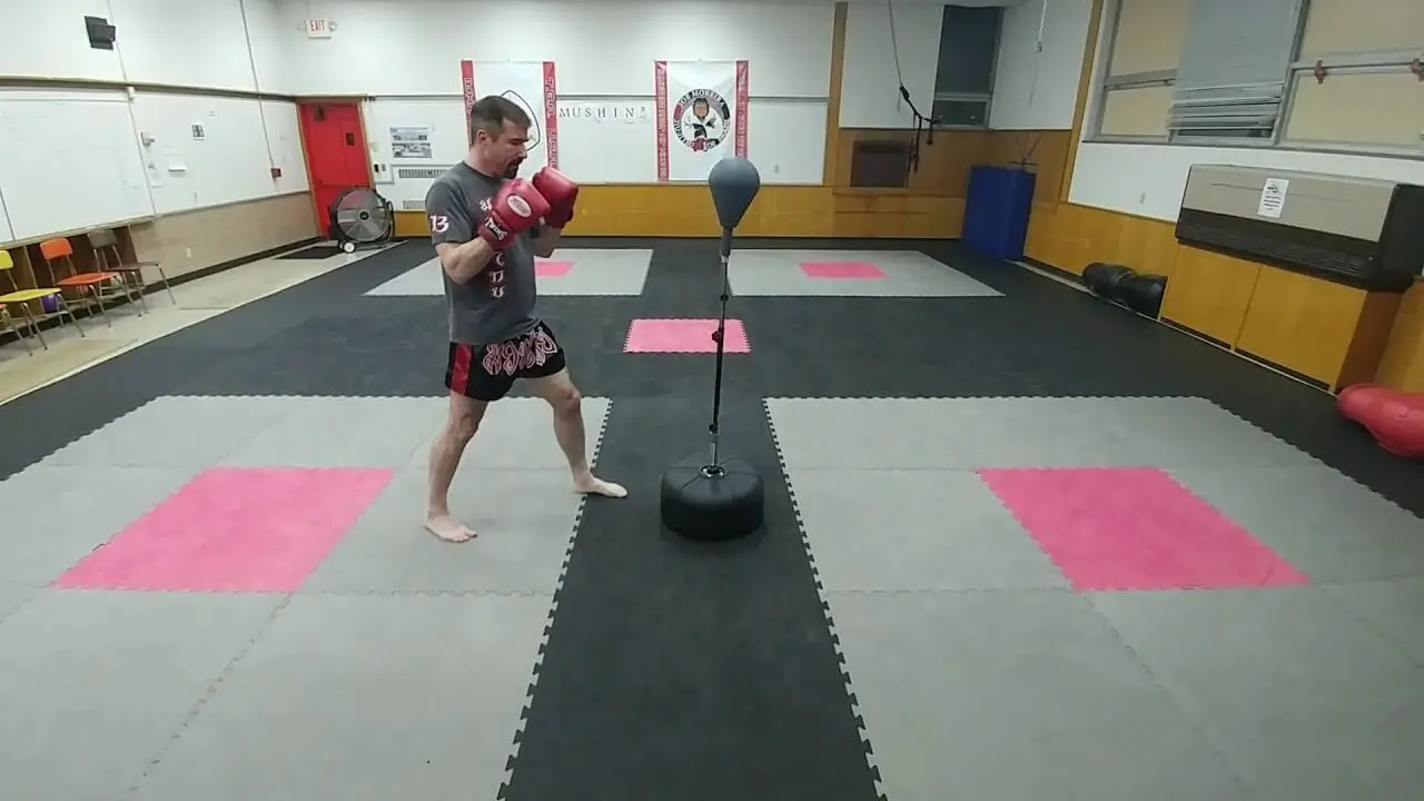 Benefits of Reflex Bag Training - Most Under-Rated Punching Bag