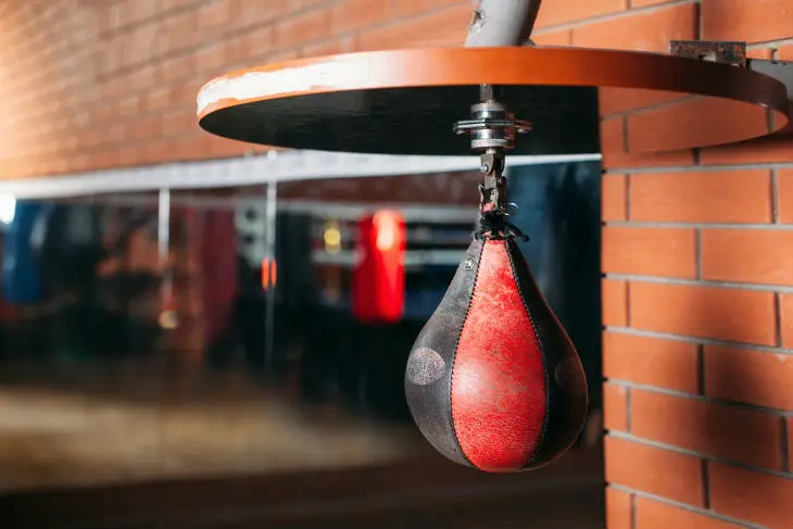 speed bag for home use