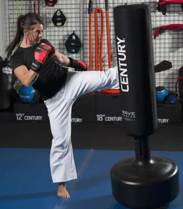 The Century Cardio Wavemaster is a great free standing punching bag