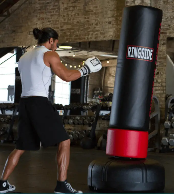 My recommendation for free standing punching bags is the Ringside Elite