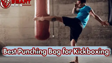 Best Punching Bag for Kickboxing