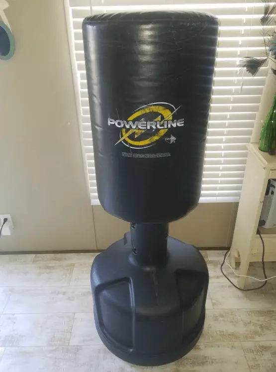 Century Powerline is a great choice when it comes to picking a punching bag for kickboxing