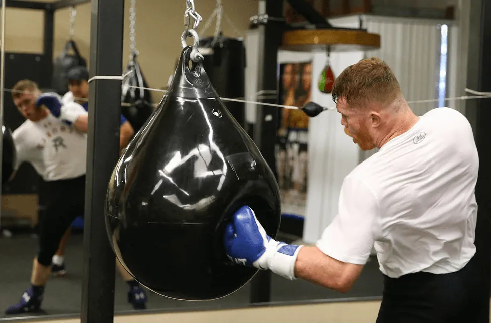 Aqua Water Punch Bag 21 inch Training Boxing Gym 