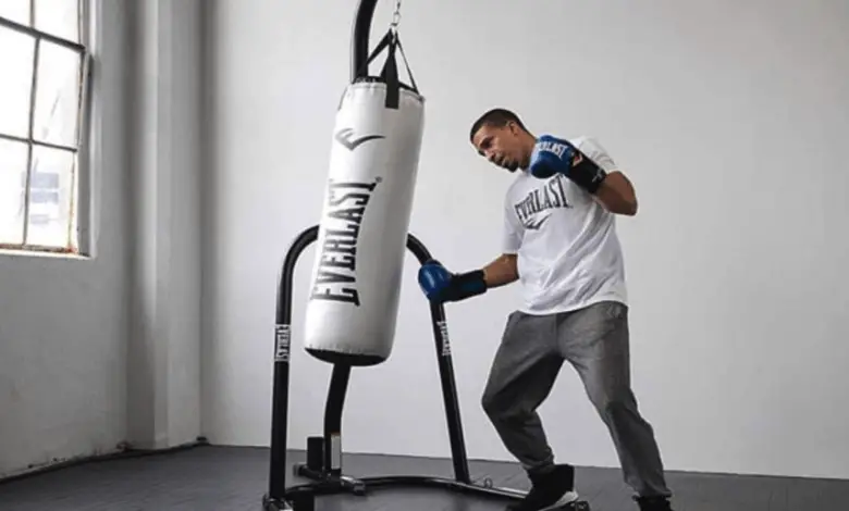 best punching bag for small apartment