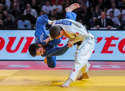 Judo is a martial art that goes into MMA 