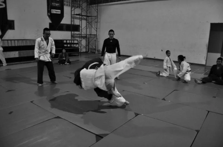 Are Martial Arts Considered a Sport? SmartMMA