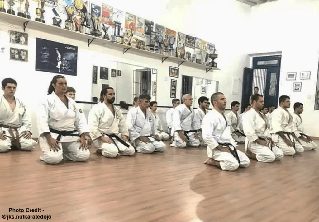 Why Is Karate So Expensive? What You Need To Know SmartMMA