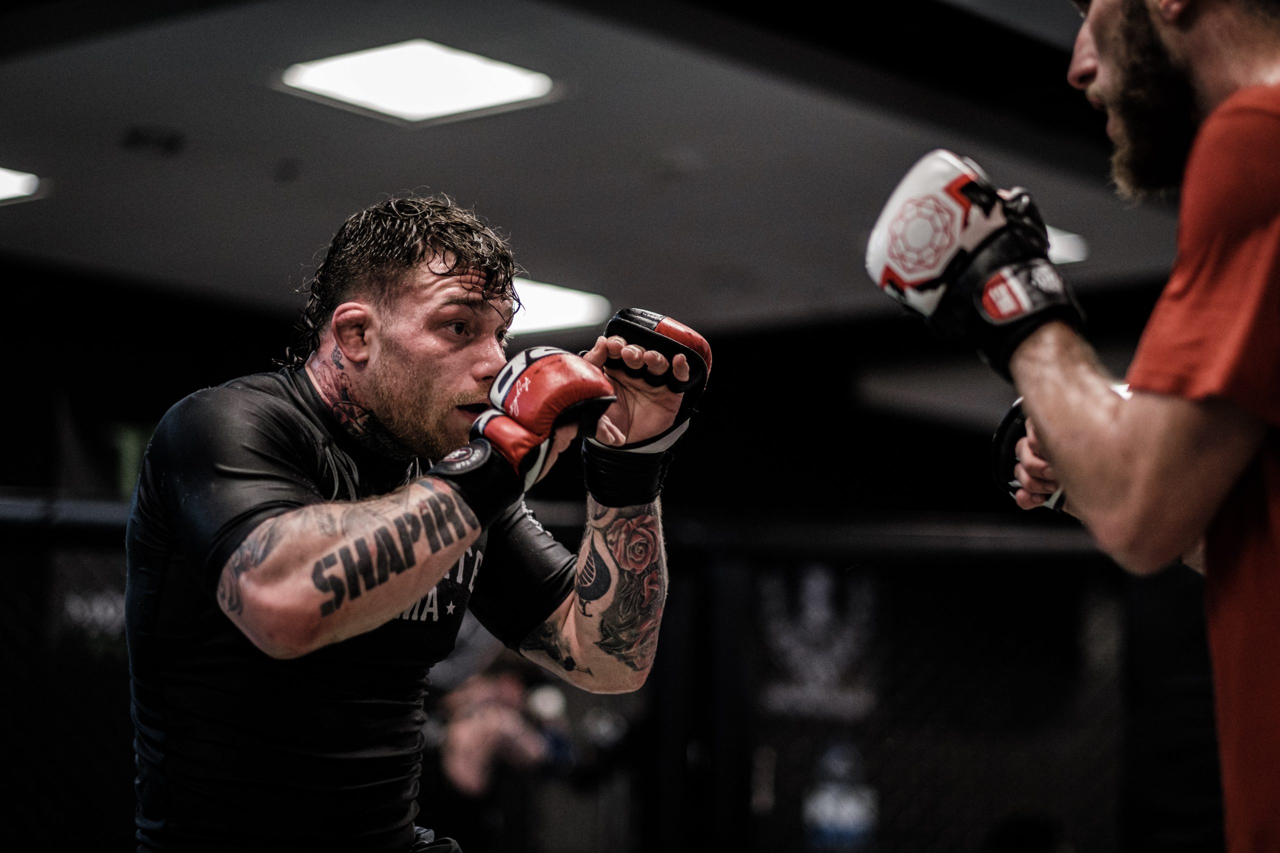 How To Get Started In MMA Training: The Ultimate Guide - SmartMMA