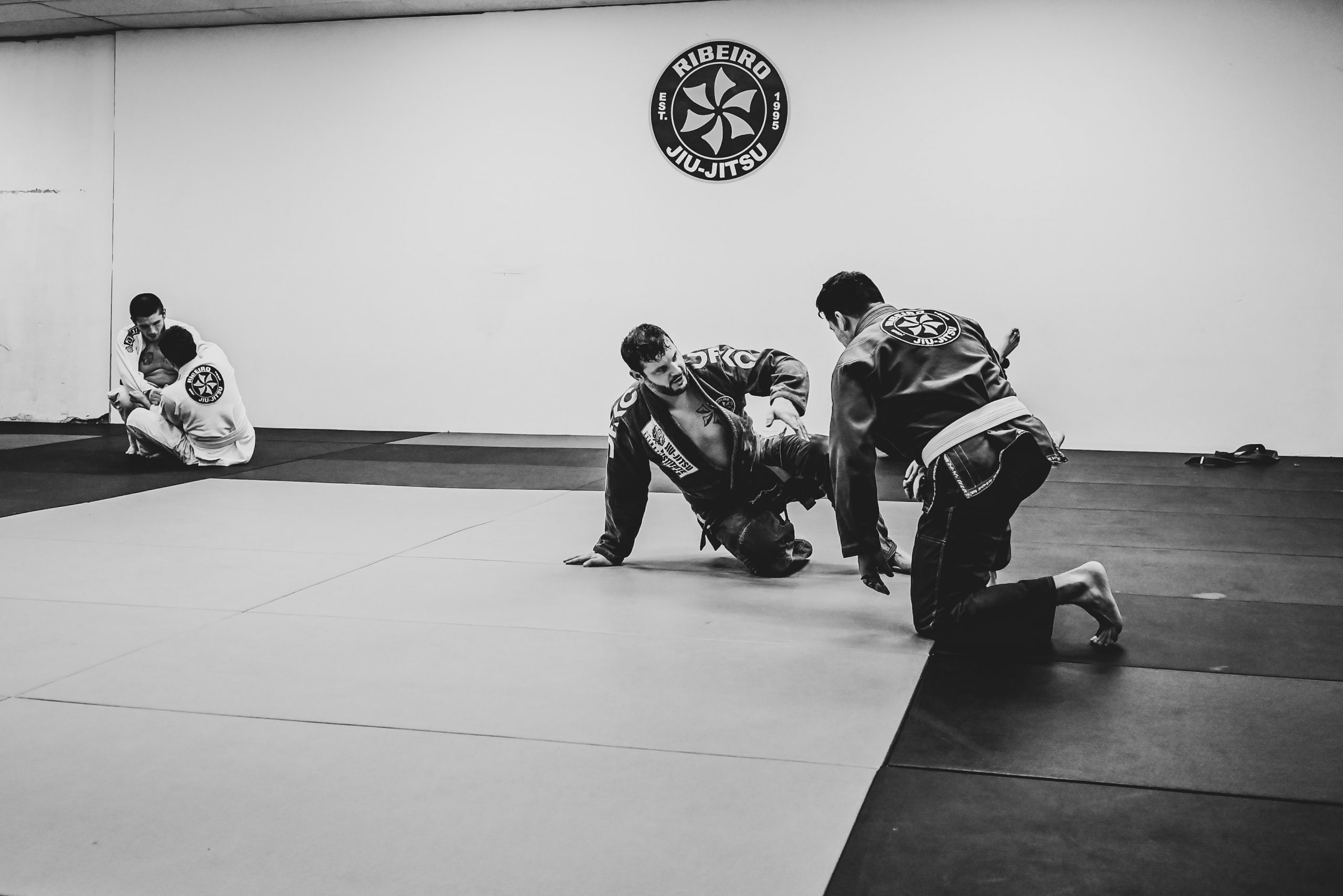 How To Learn Brazilian JiuJitsu by Yourself (Full Guide) SmartMMA